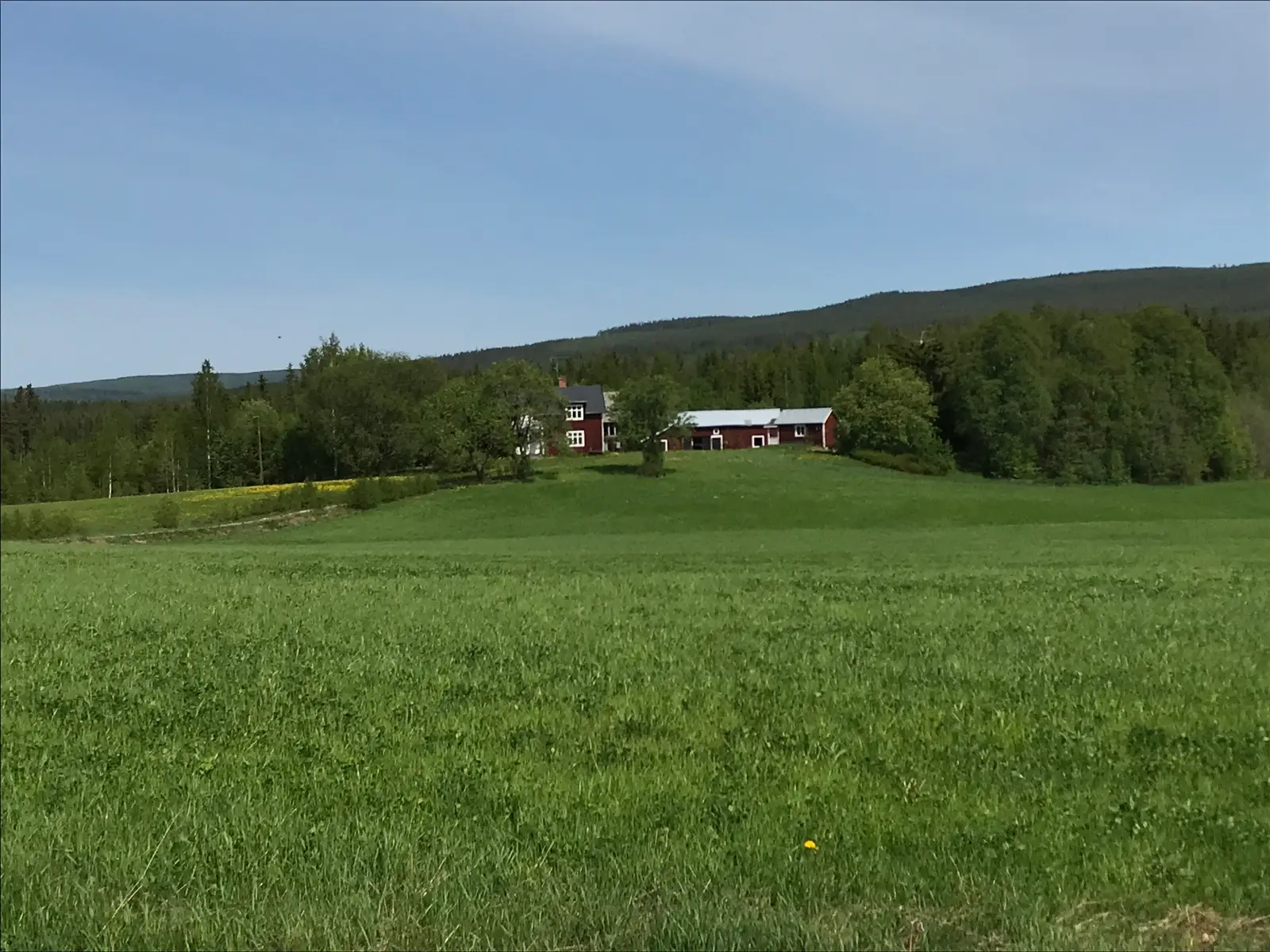 Tallbacken 22, Bjuråker