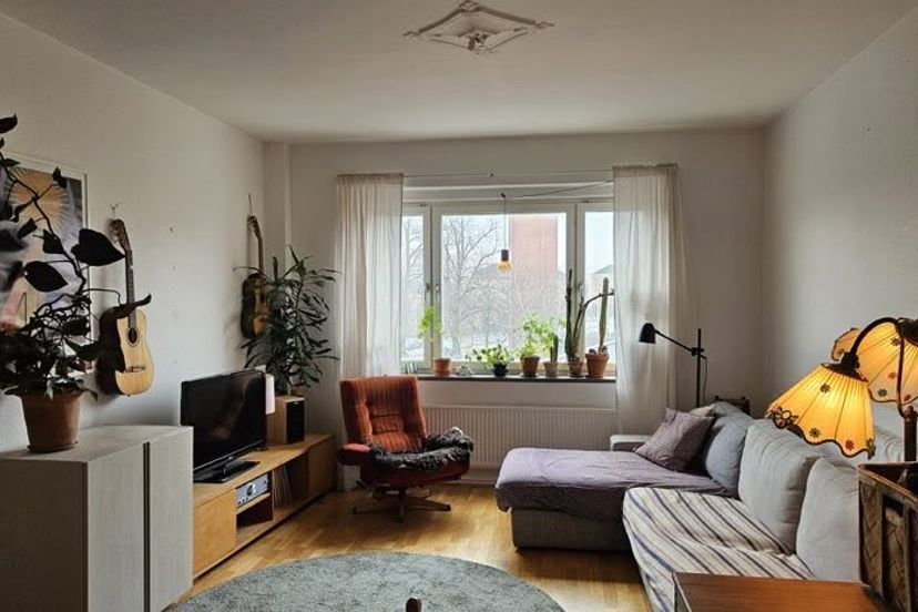 Möllevången, Malmö